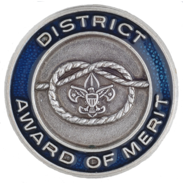 District Award of Merit pin
