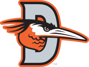 DelmarvaShorebirds